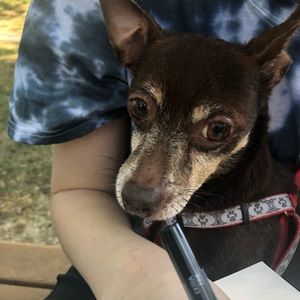 Meet your Posher, Jackie